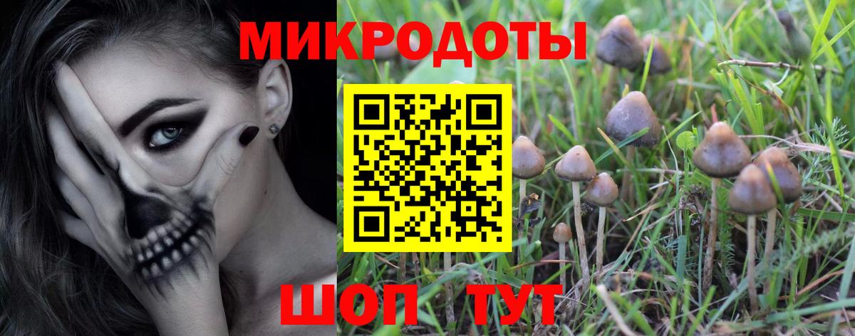 Галлюциногенные грибы мицелий Екатеринбург